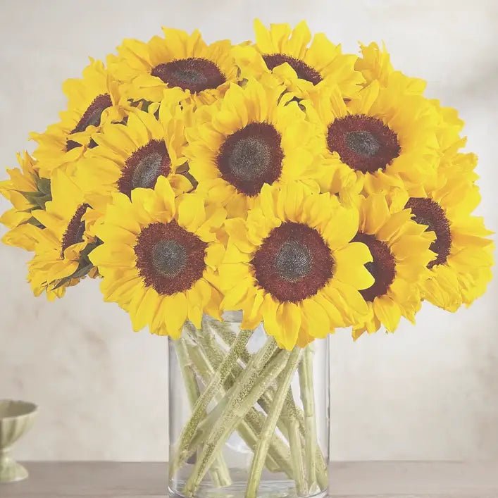 SUNFLOWERS - Cherry Blossom | Flowers Delivery in LA