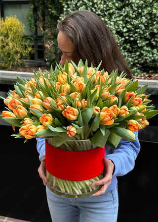 NO. 93. Gorgeous 130 Orange Tulips