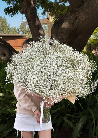 NO. 63. Baby's Breath Bouquet